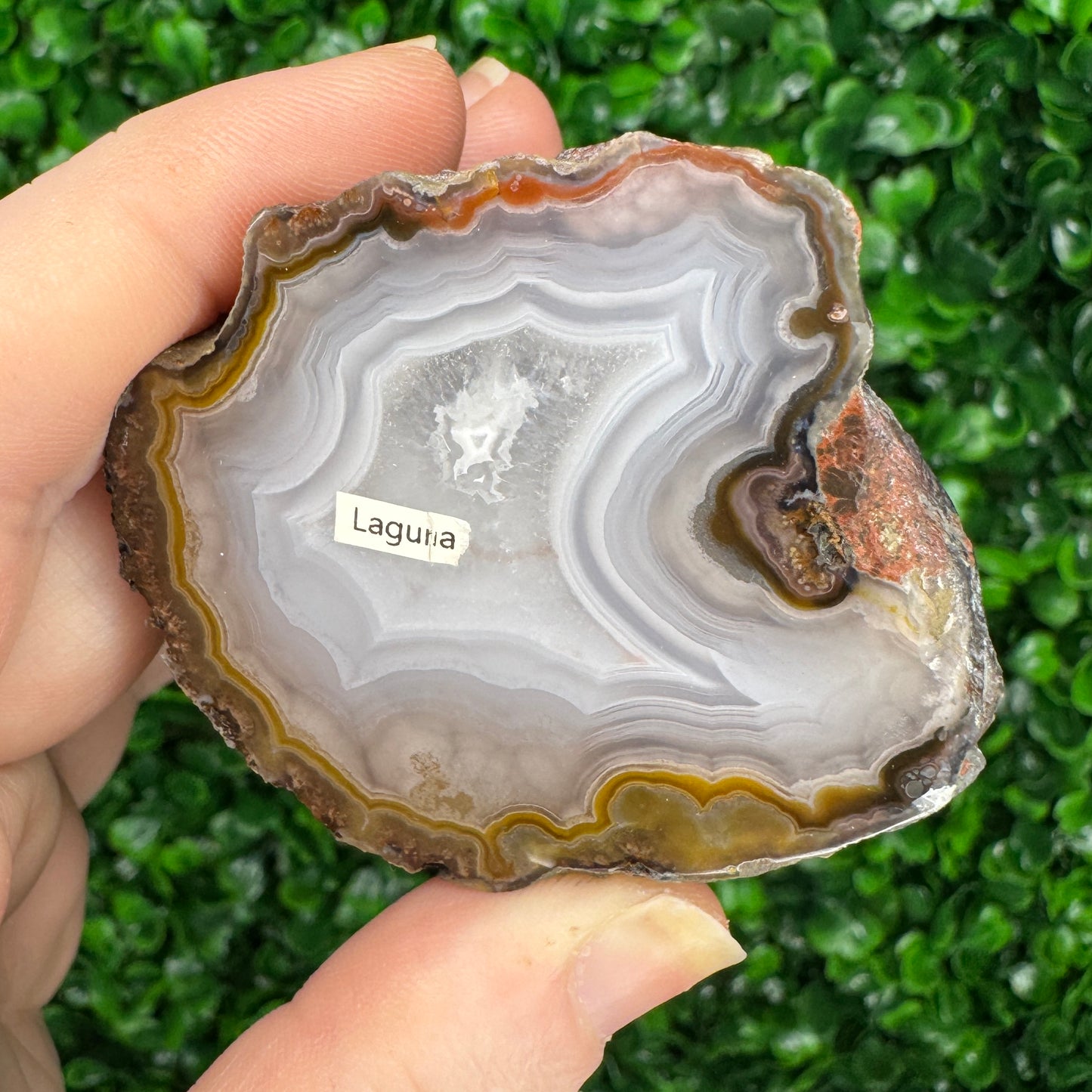 Laguna Agate