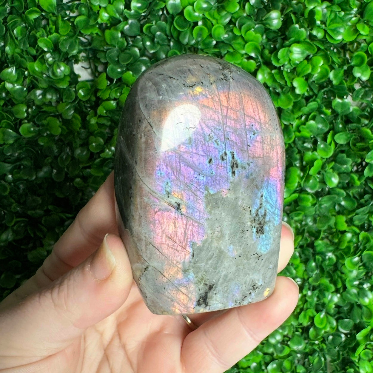 Labradorite Freeform 36