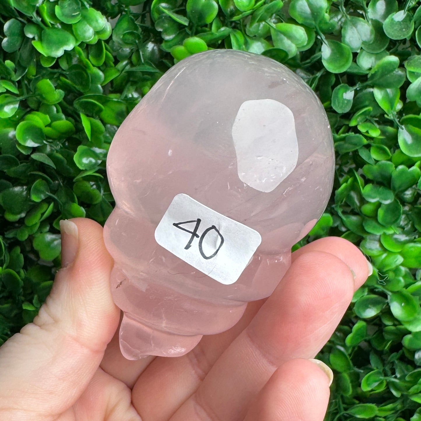 Rose Quartz Sea Shell Carving