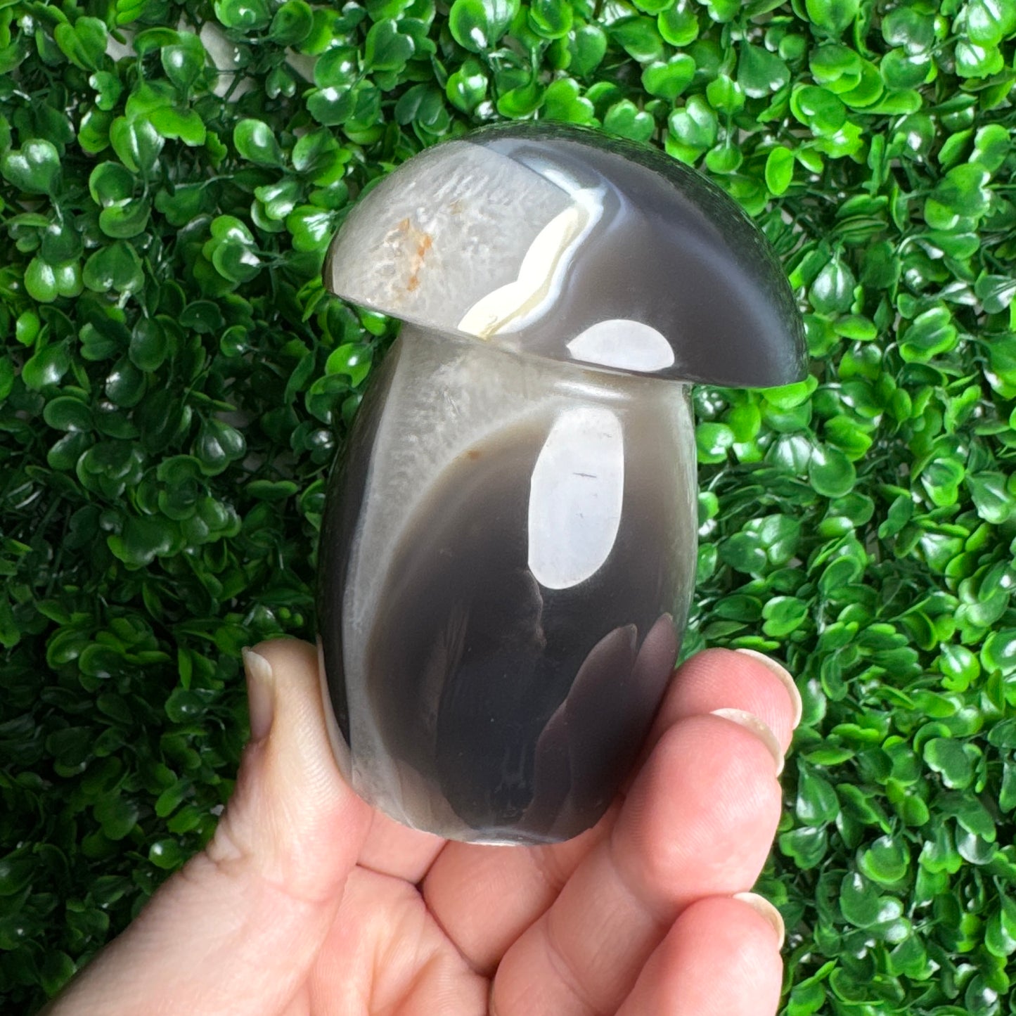 Orca Agate Mushroom Carving