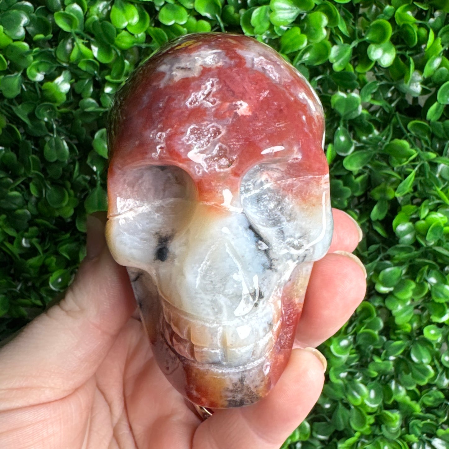 Druzy pink Sea Jasper Skull Carving