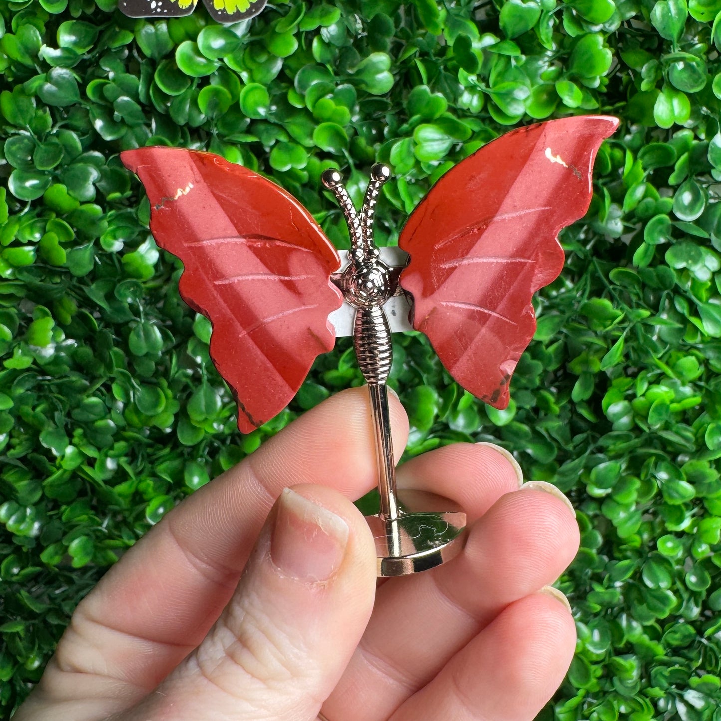 Small Mookaite Jasper Butterfly Carvings