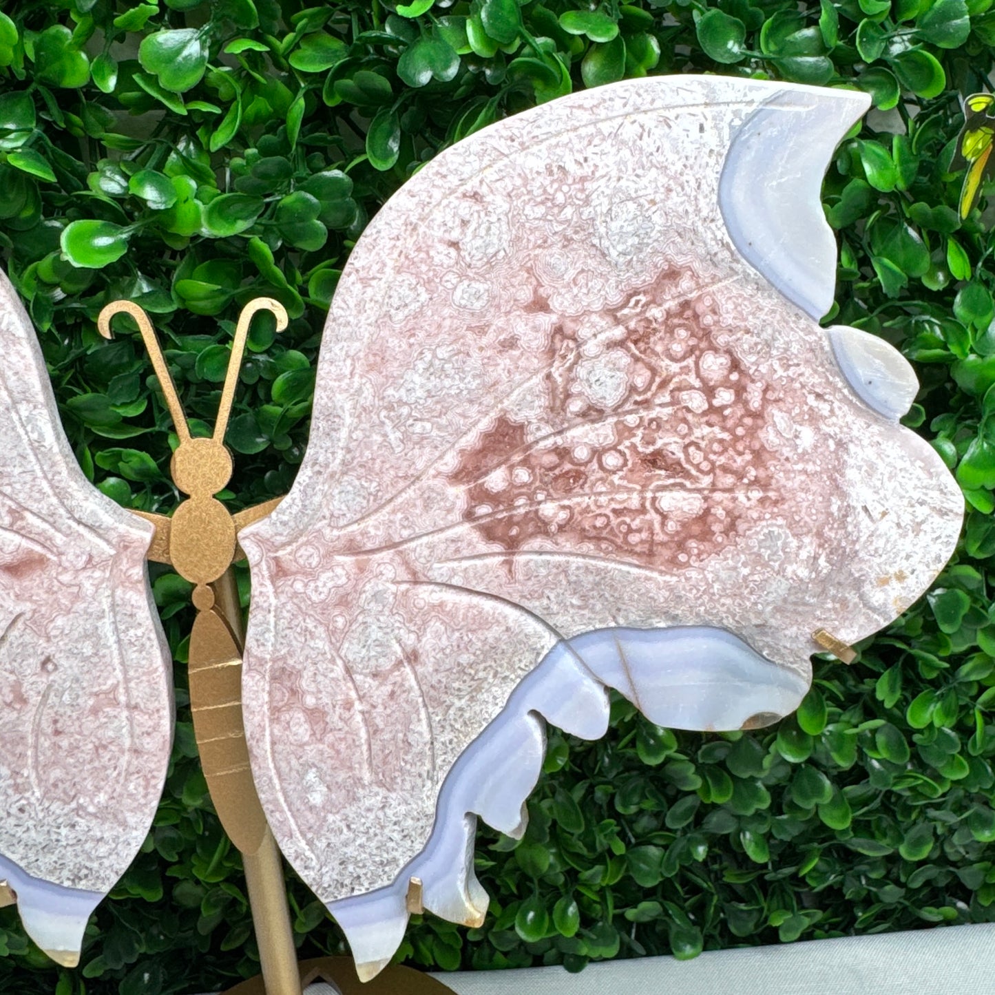 Statement Pink Amethyst Wings
