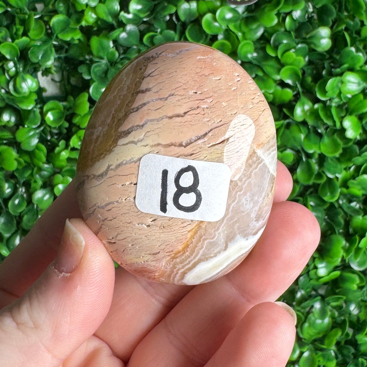 Pink ibis Jasper Palm Stone