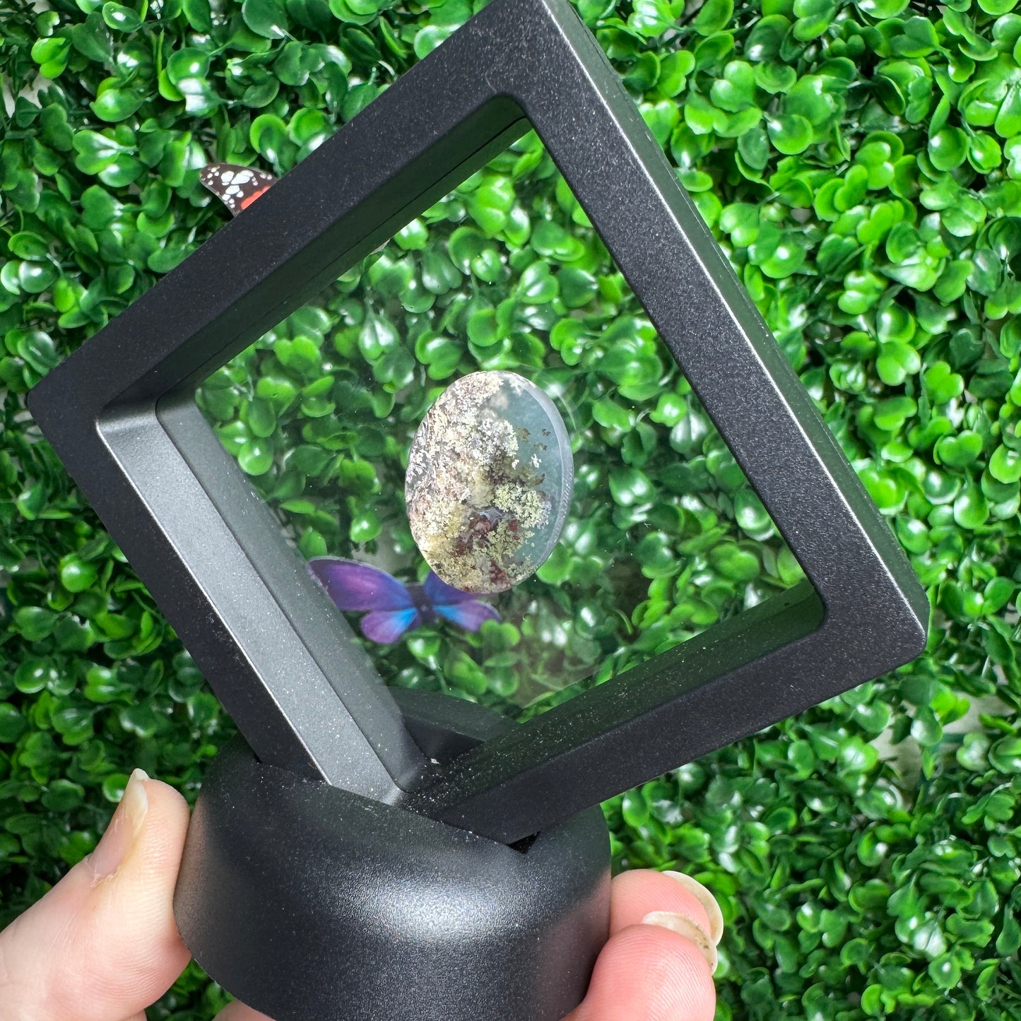 Garden Quartz Cab