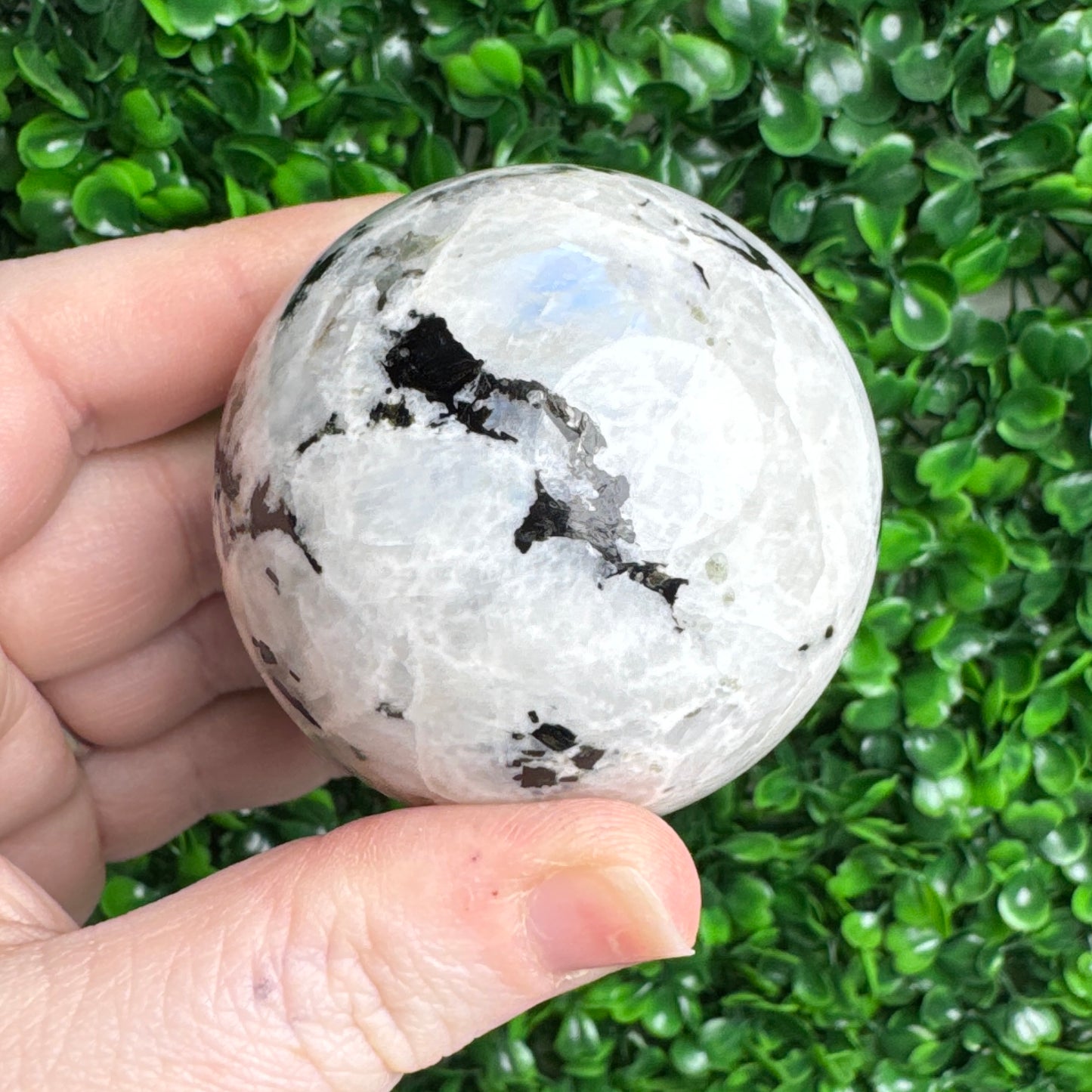 Rainbow Moonstone Sphere