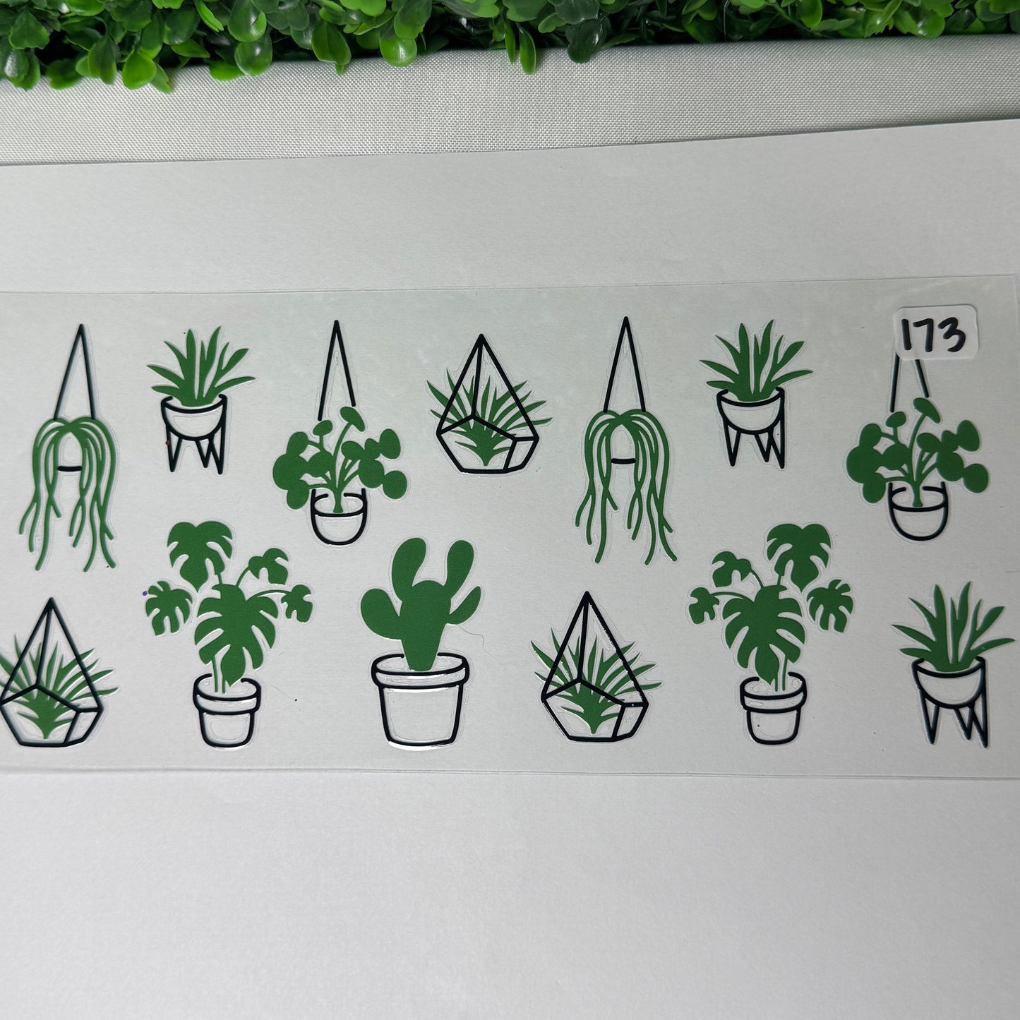 Plant Style UVDTF Cup Wraps