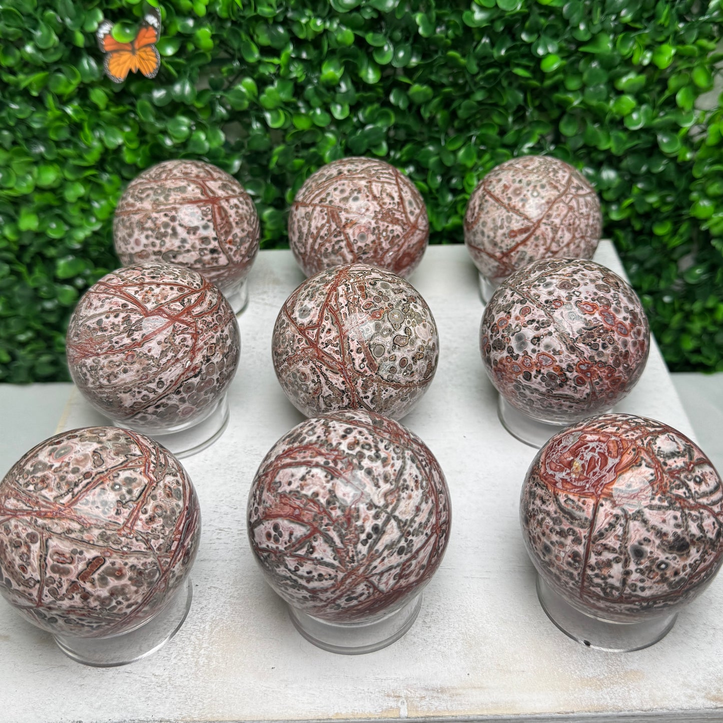 Leopard Skin Jasper Spheres
