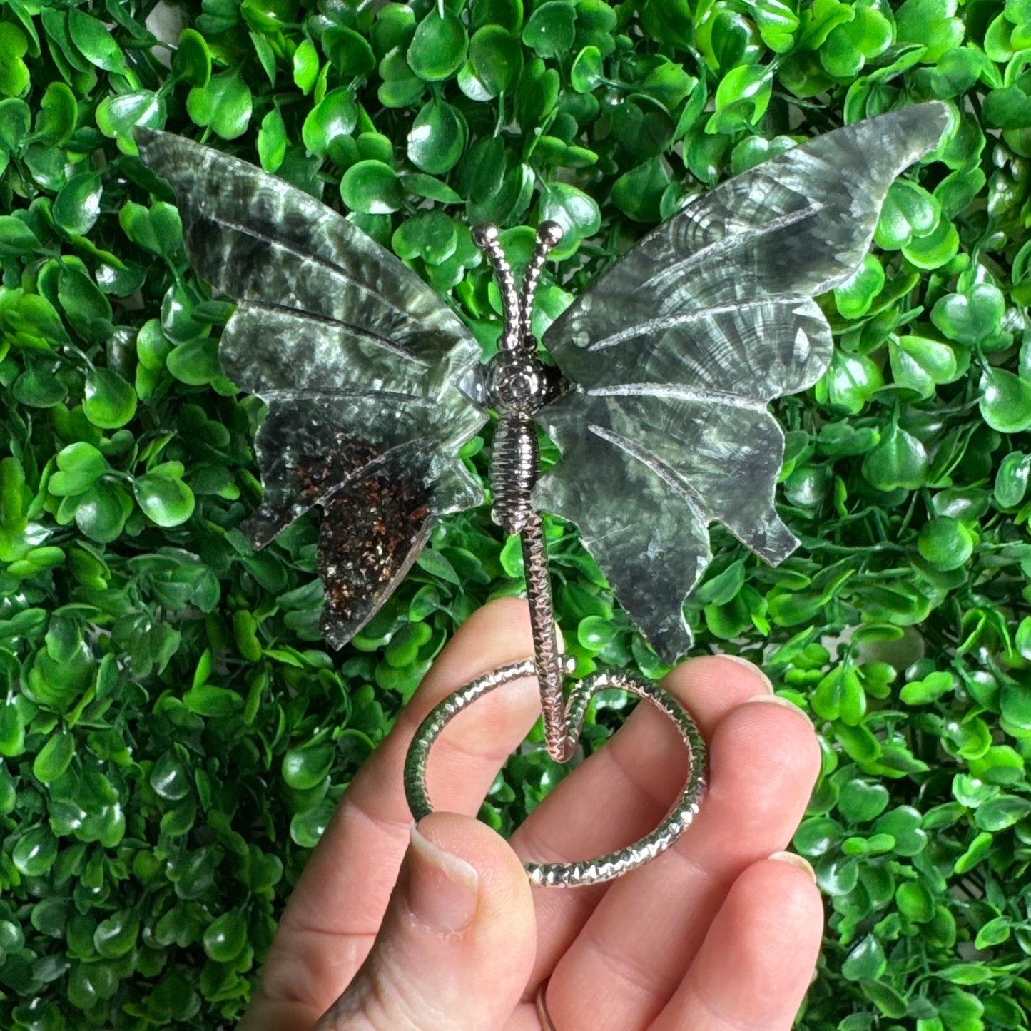 Seraphinite Wings
