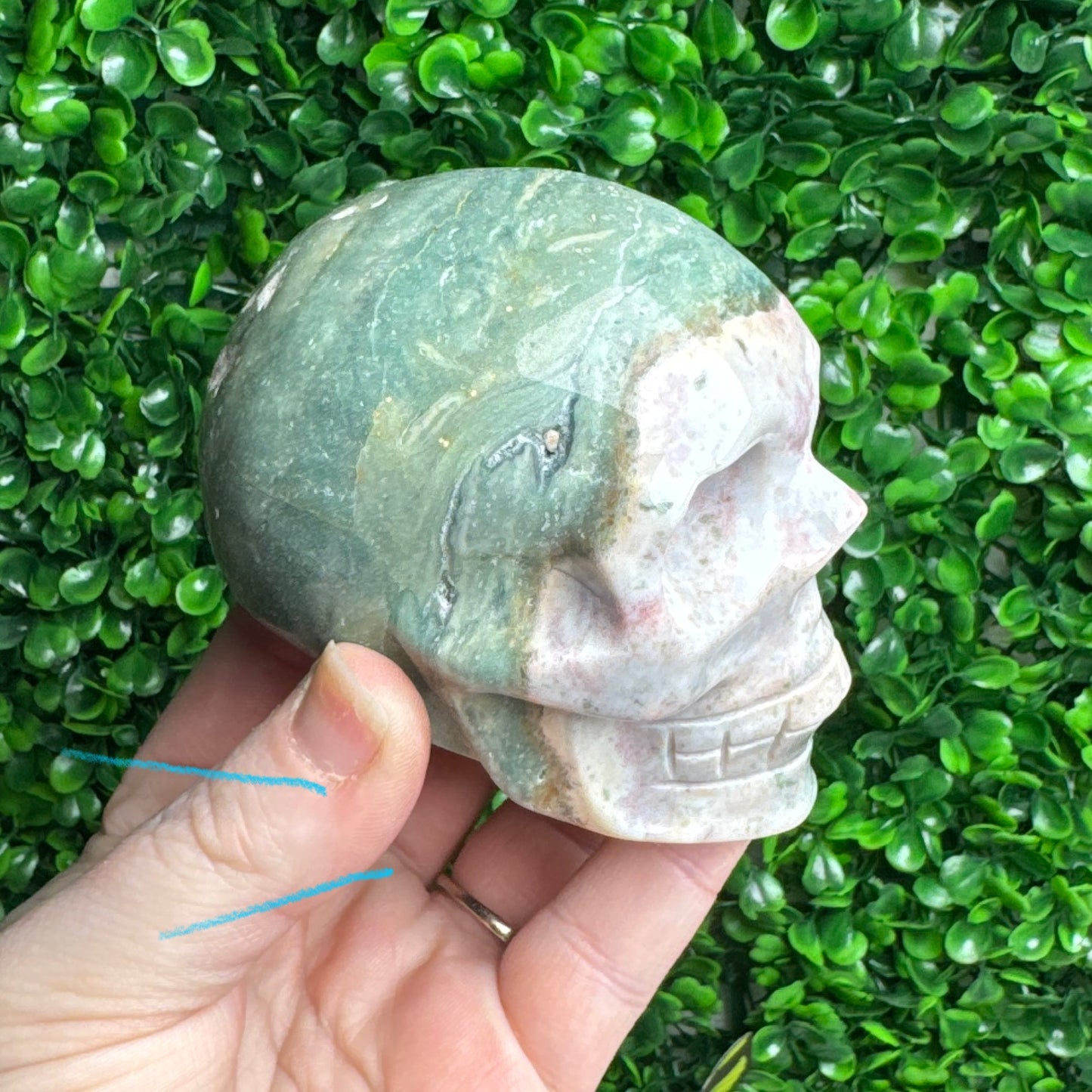 Sea Jasper Skull