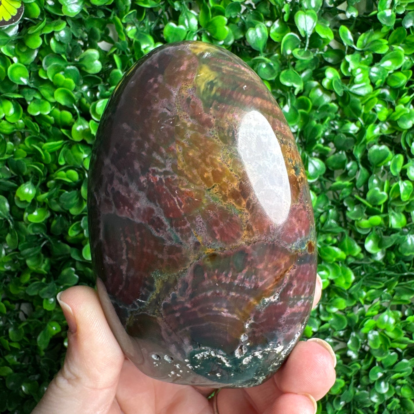Sea Jasper Freeform