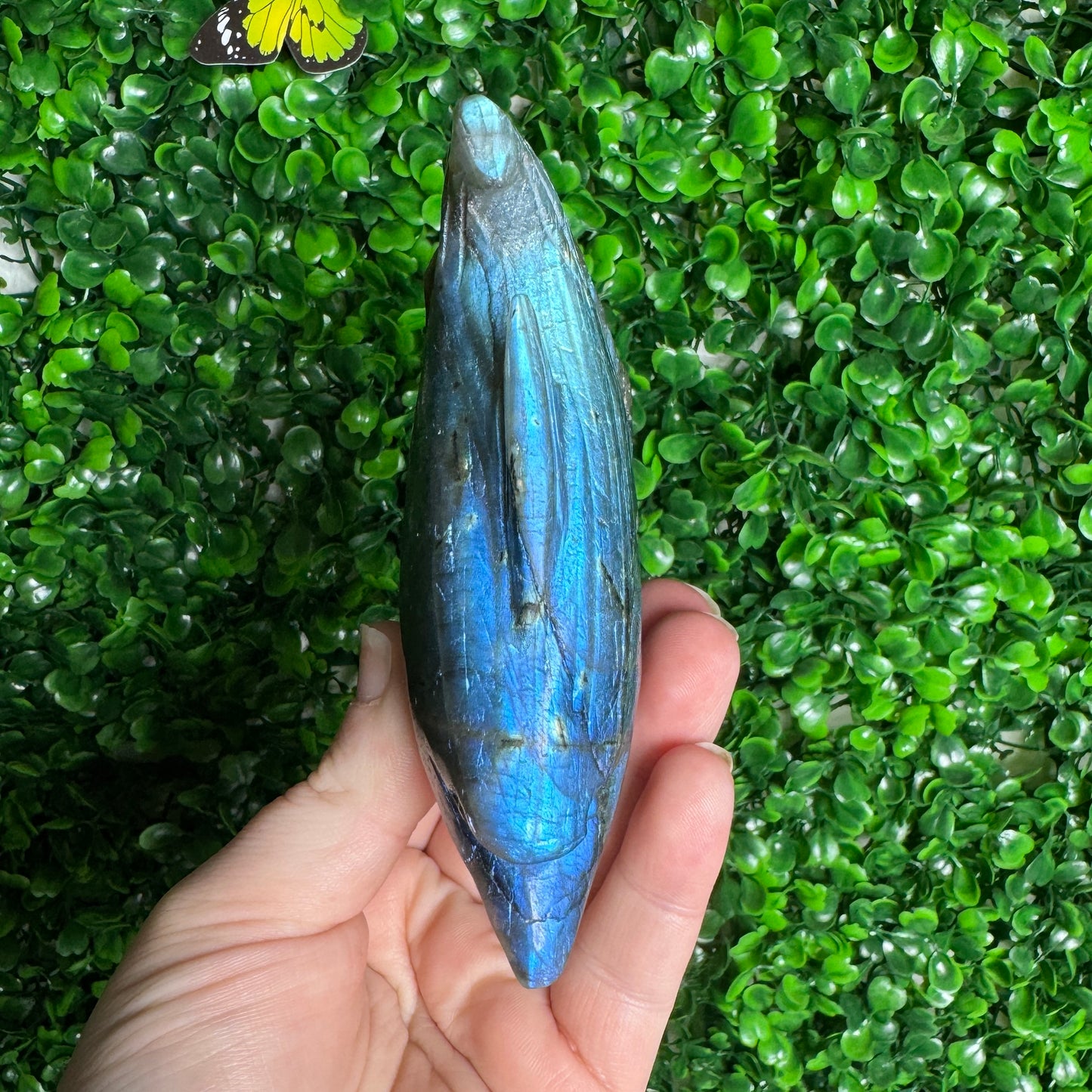 Labradorite Dolphin Carving