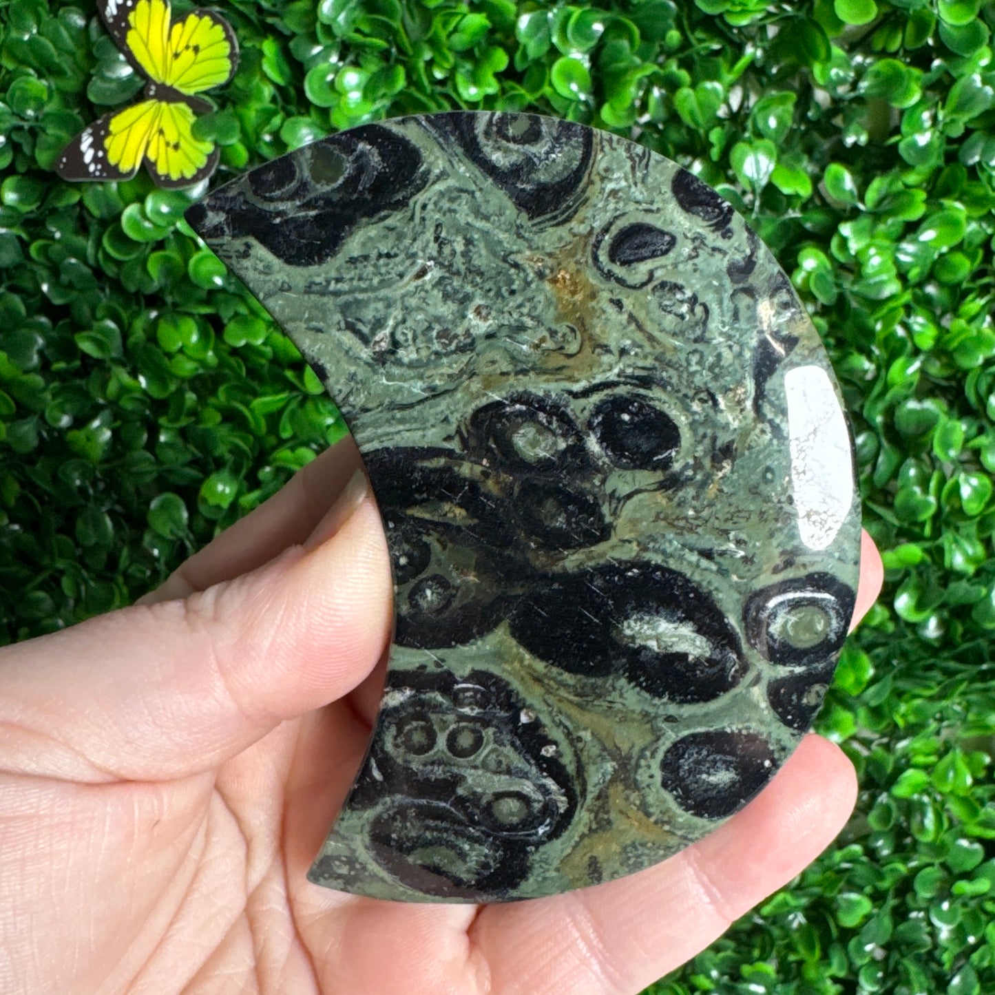 Kambaba Jasper Moon Carvings