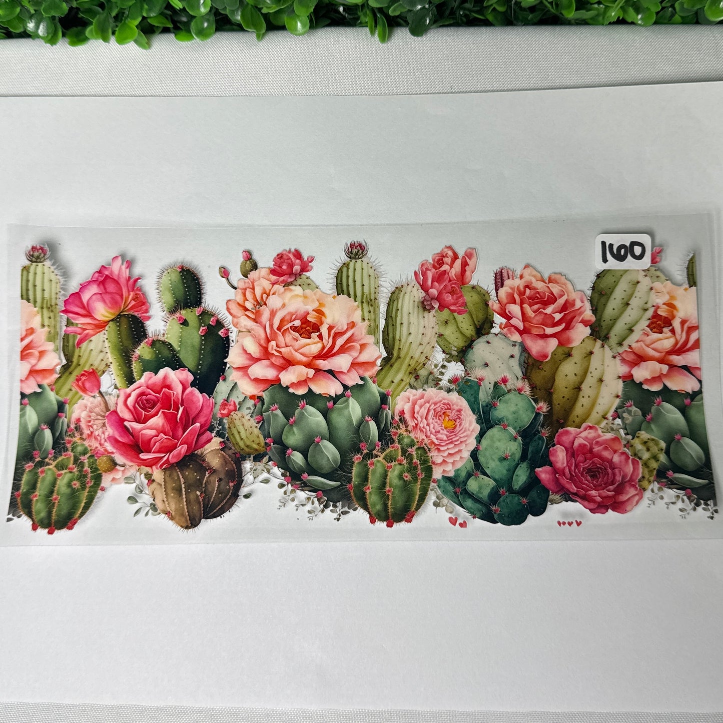 Plant Style UVDTF Cup Wraps