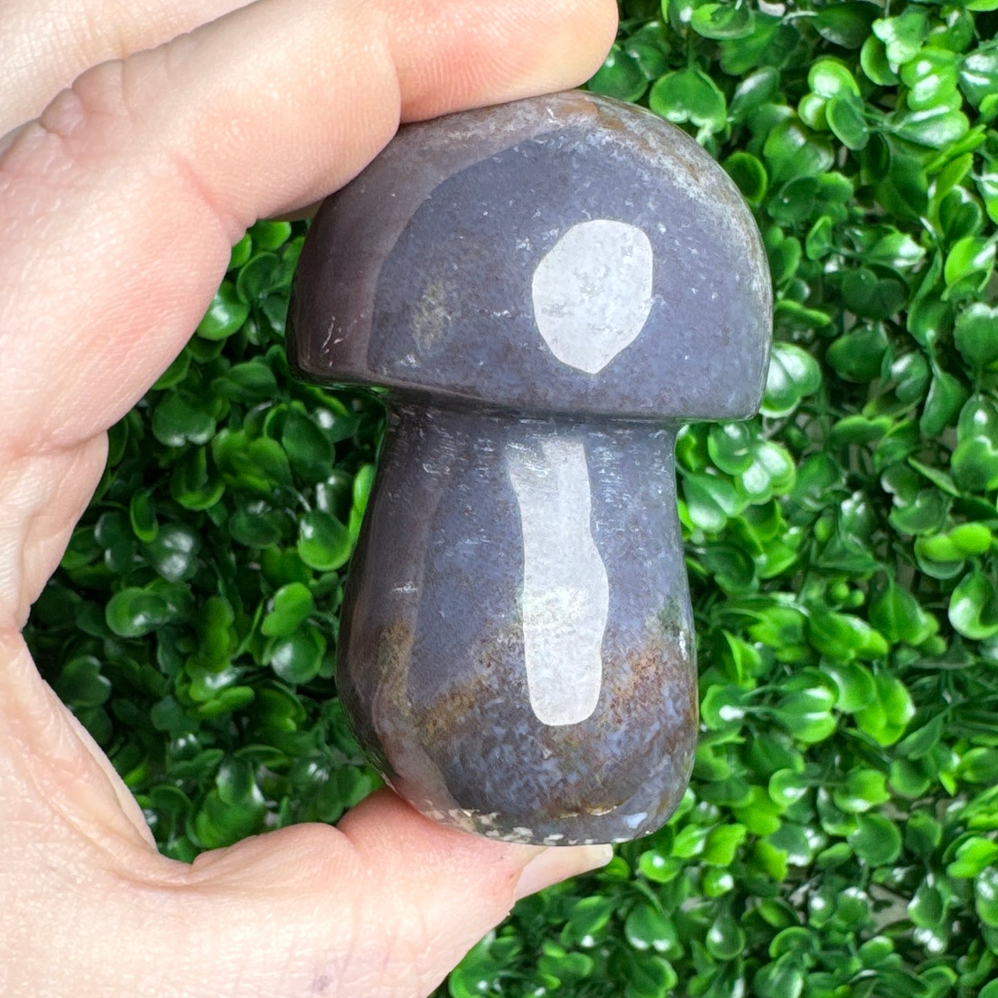 Sea Jasper mushroom Carvings