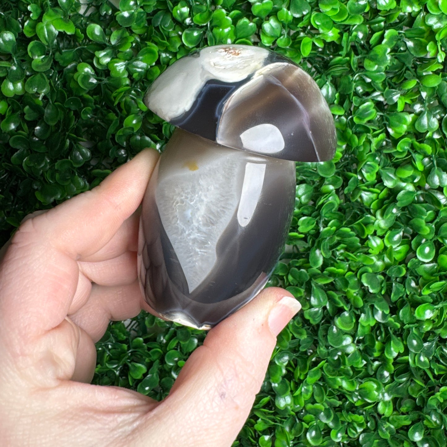 Orca Agate Mushroom Carving