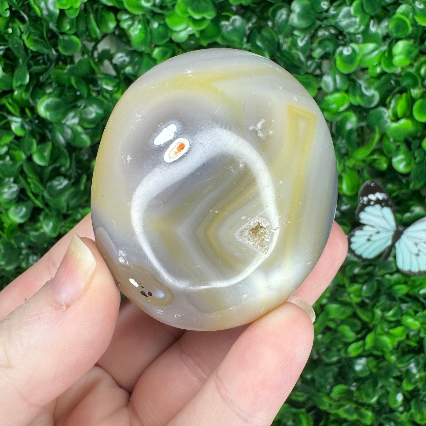 Orca Agate Palm Stone