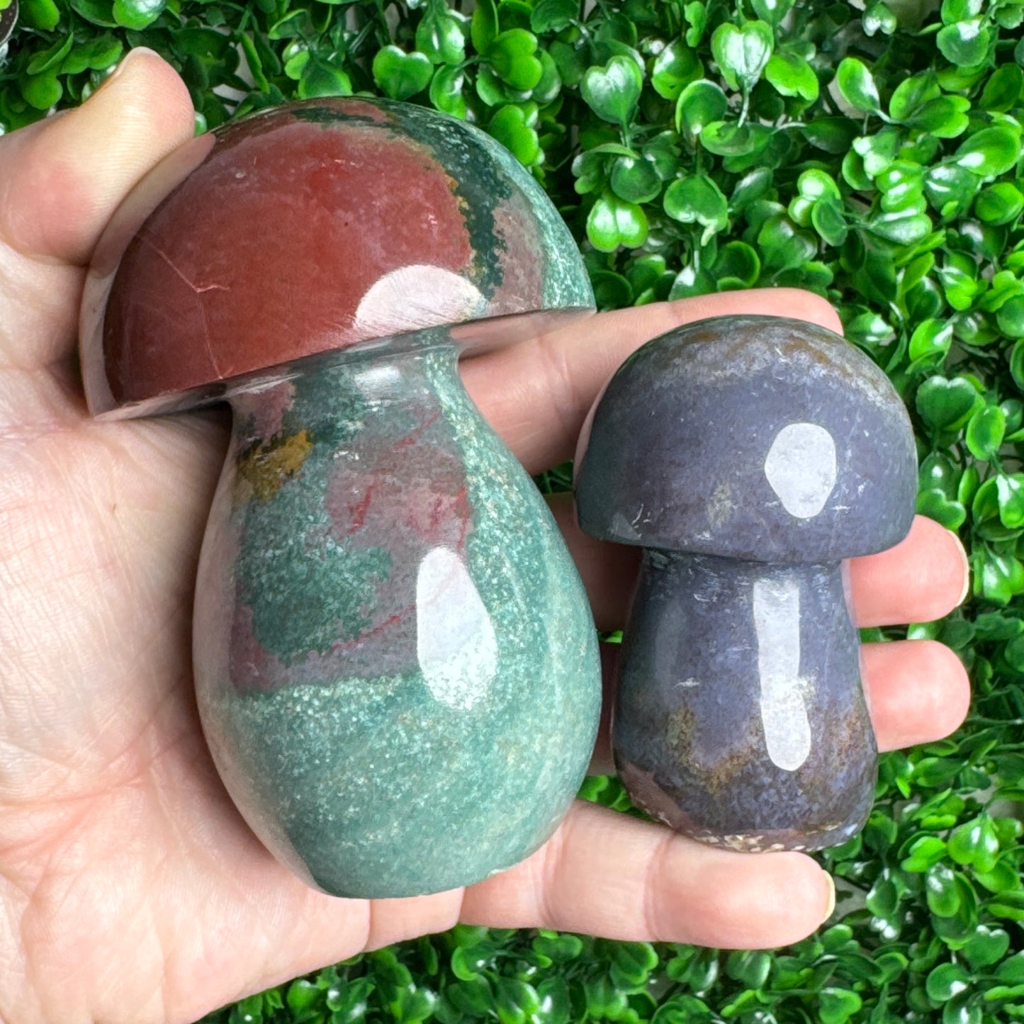 Sea Jasper mushroom Carvings