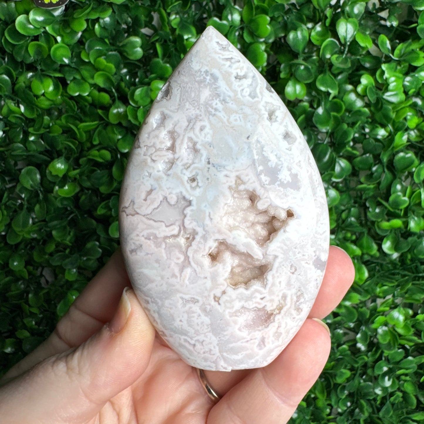 Pink plume agate flames