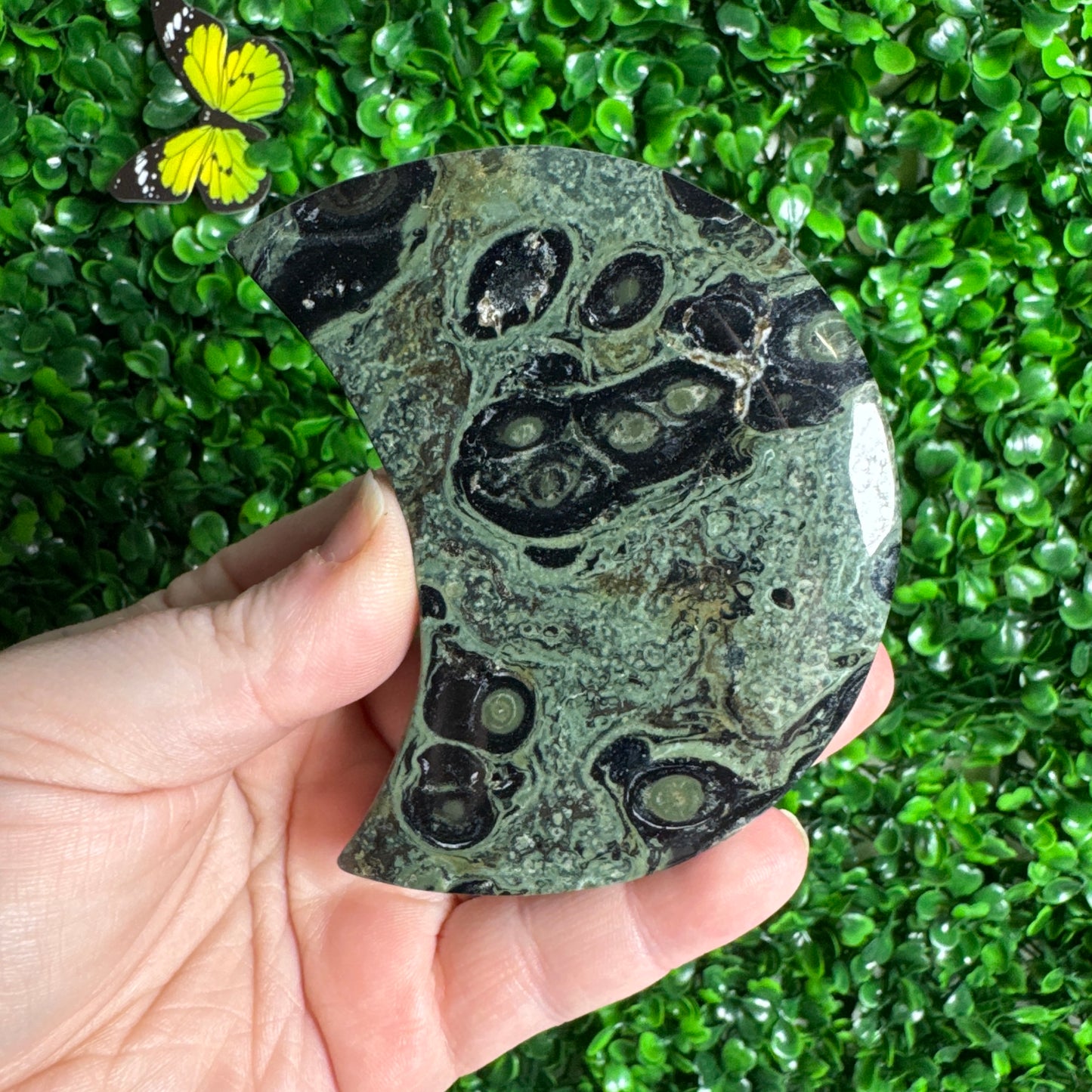 Kambaba Jasper Moon Carvings