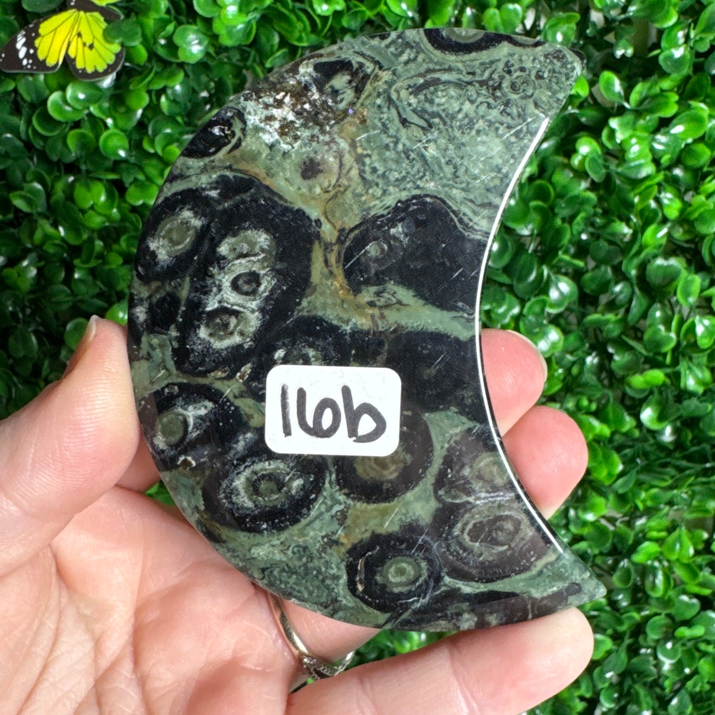 Kambaba Jasper Moon Carvings