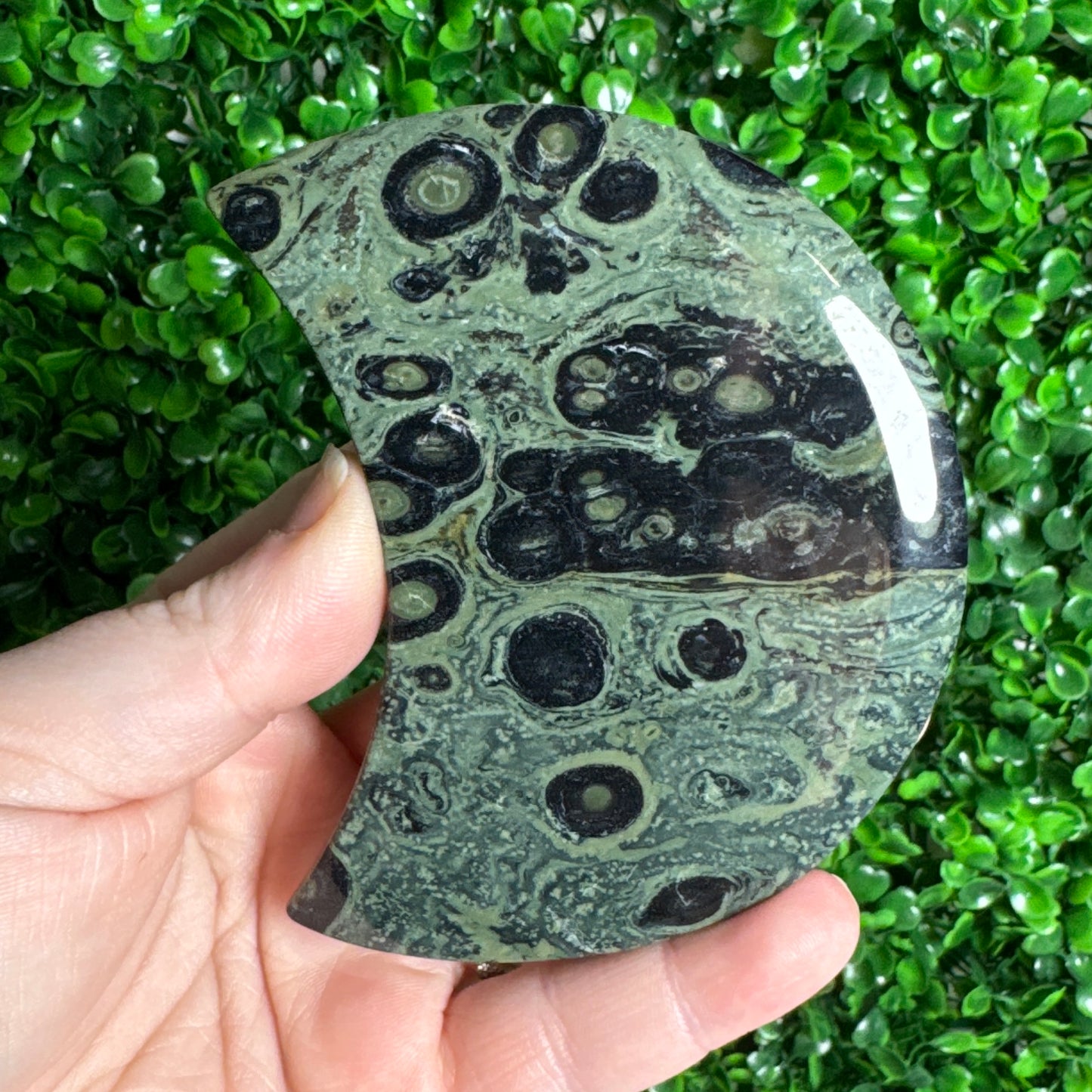 Kambaba Jasper Moon Carvings