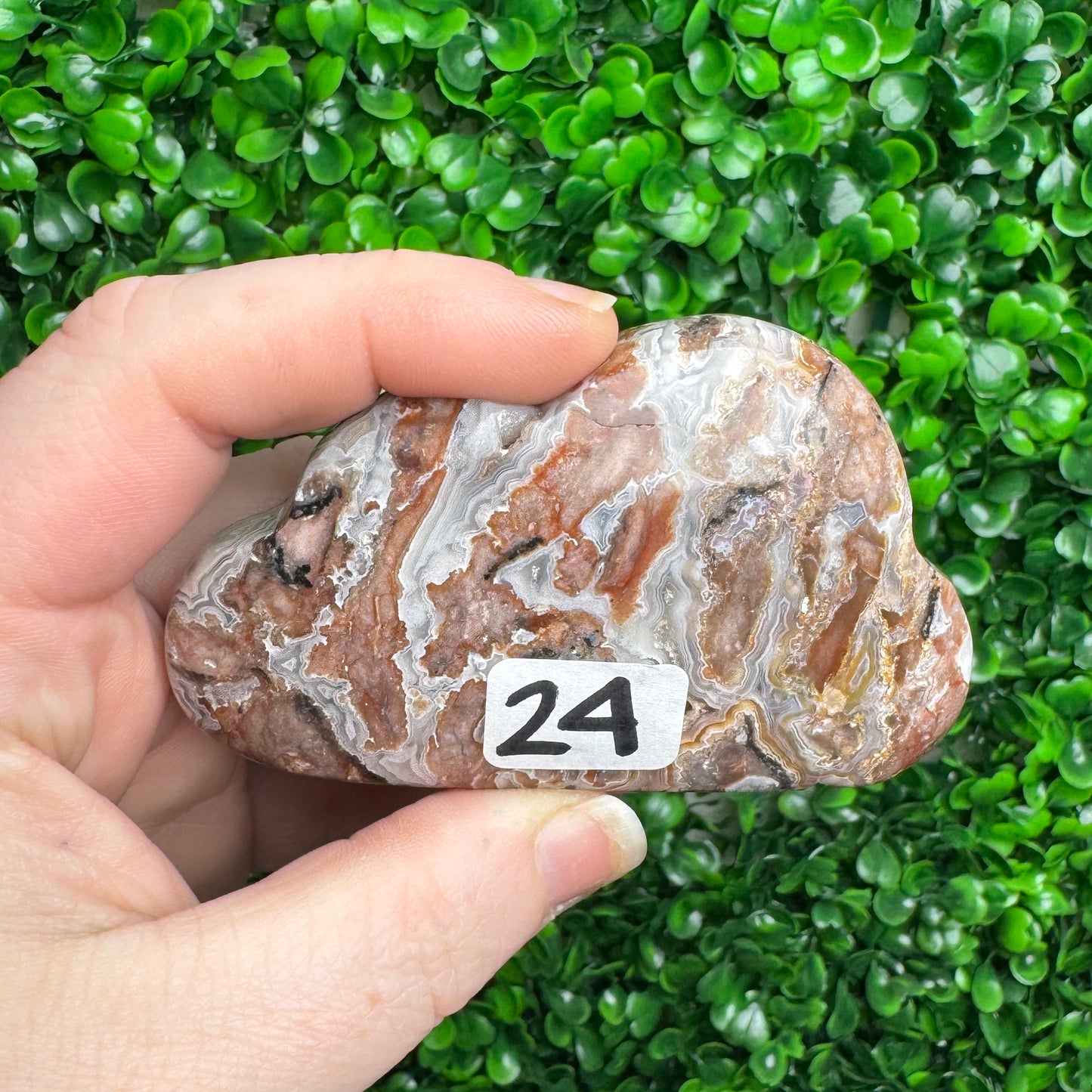 Sangria Lace Cloud Carving