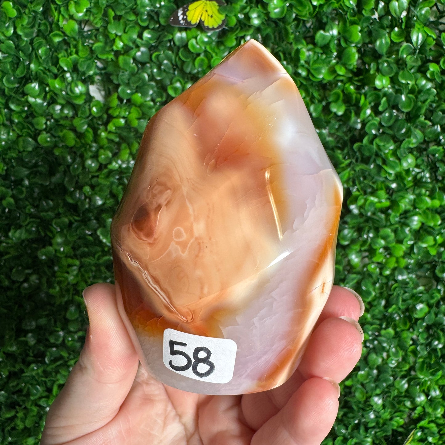 Carnelian Orca Flame