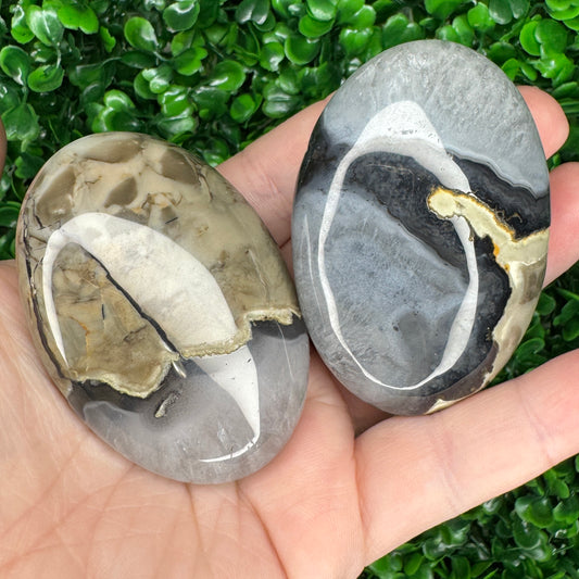 Volcano Agate Palm Stones