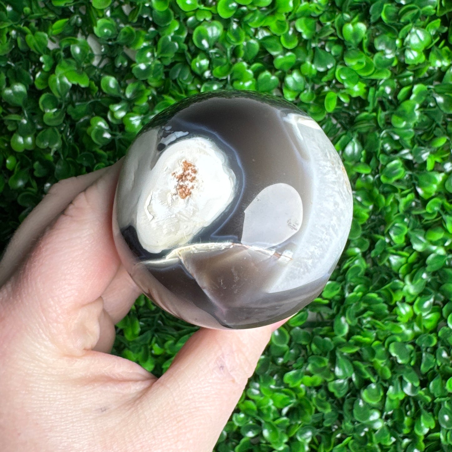 Orca Agate Mushroom Carving