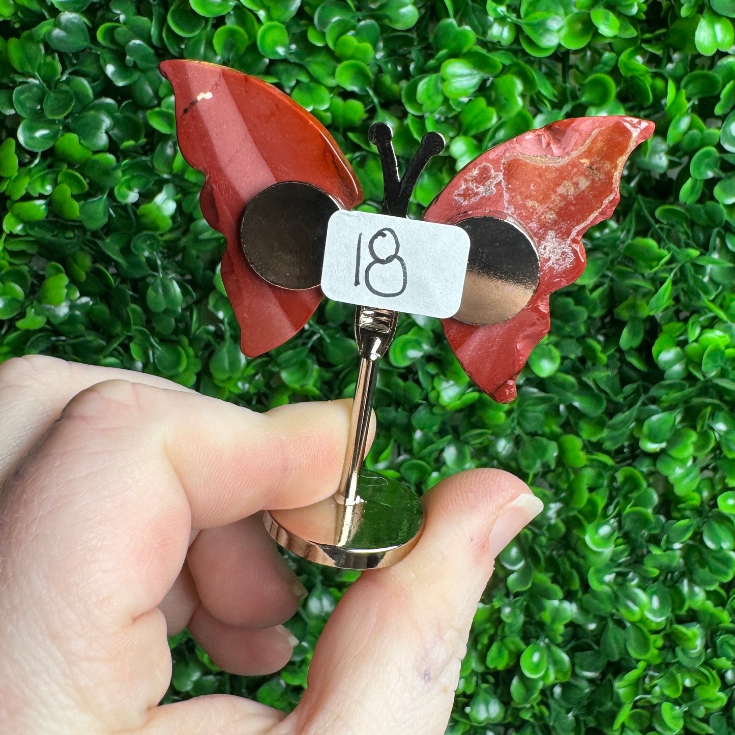 Small Mookaite Jasper Butterfly Carvings