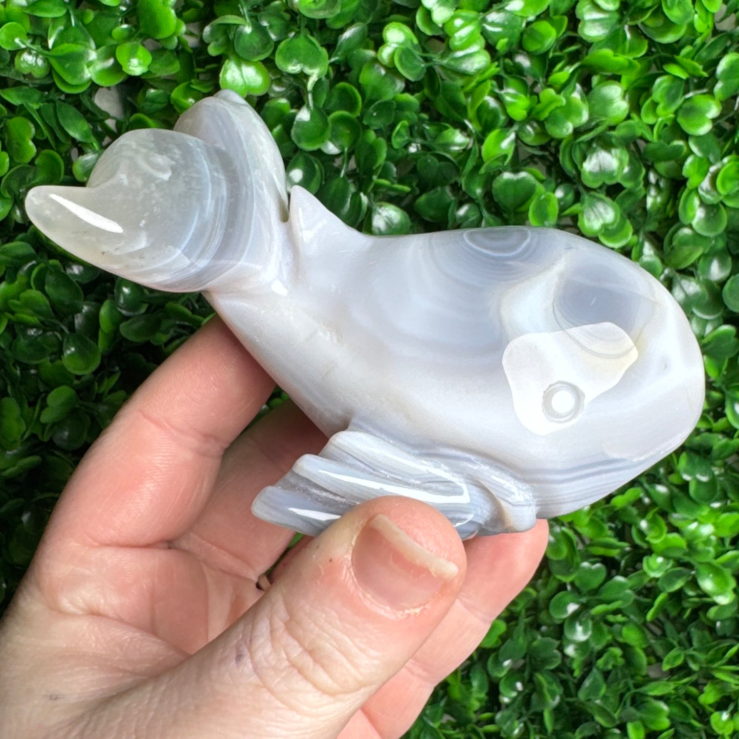 Druzy agate Whale Carving