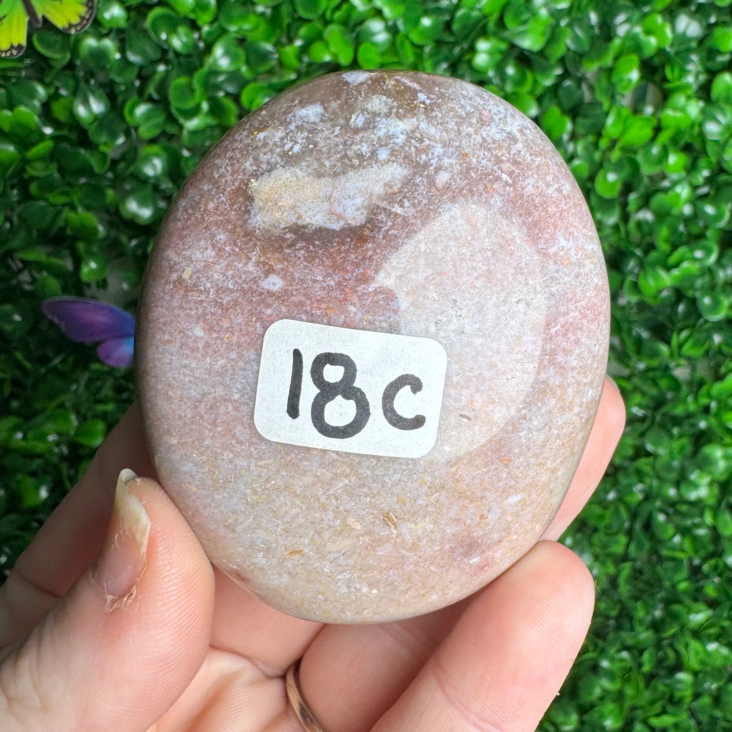 Sea Jasper Palm stones