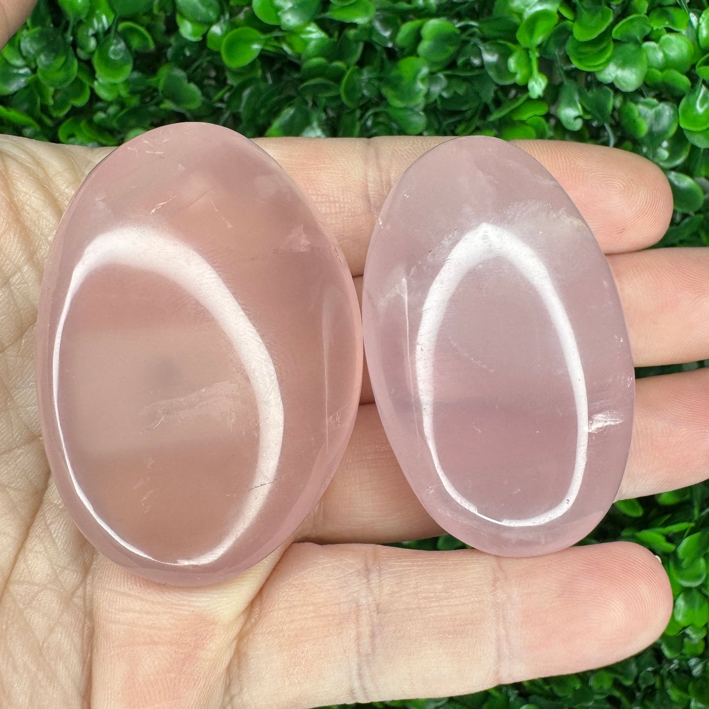 Star Rose Quartz Palm Stones