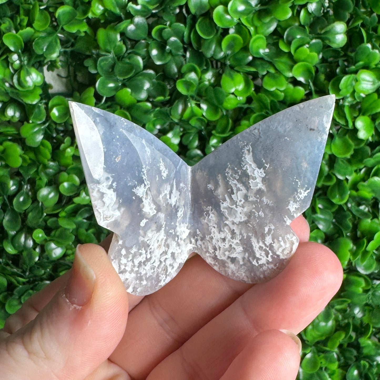 3D Blue Plume Agate Butterflies