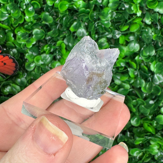 YGX Fluorite #24