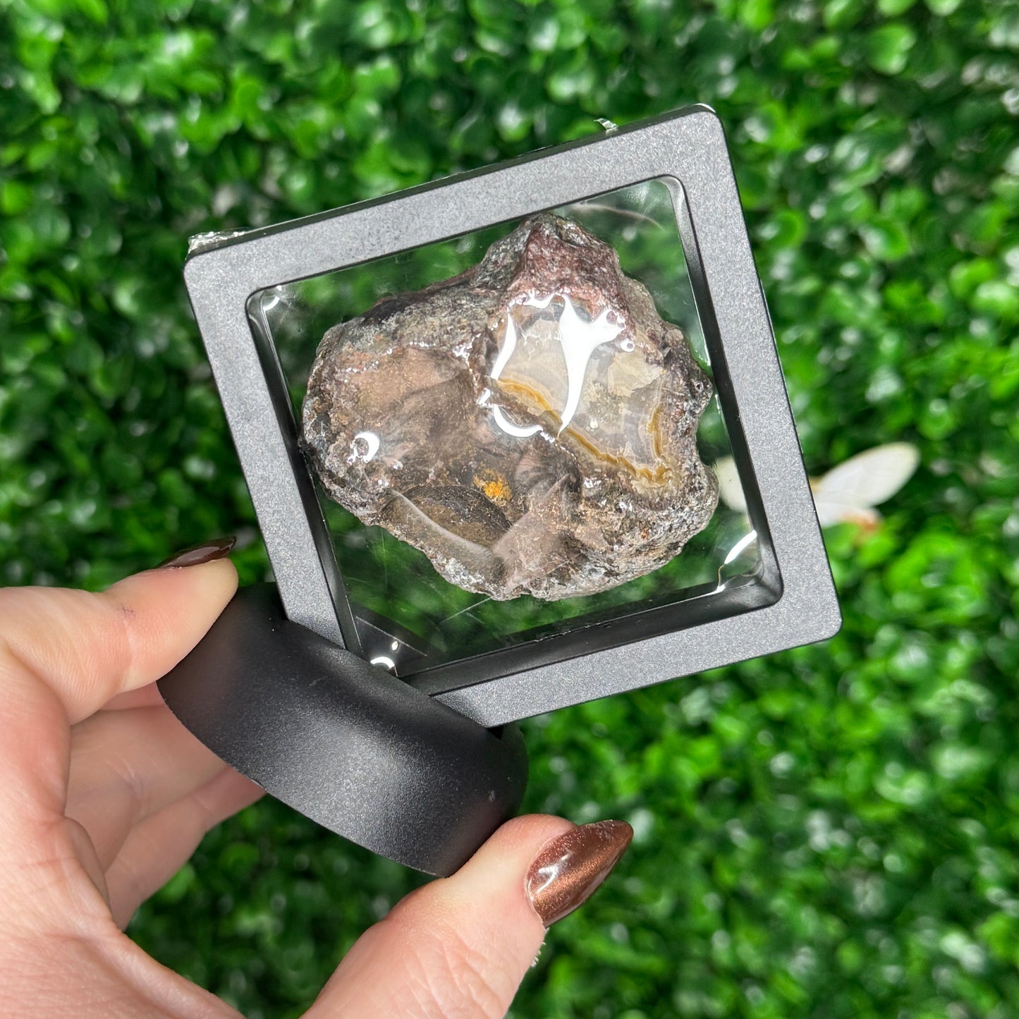Laguna Agate