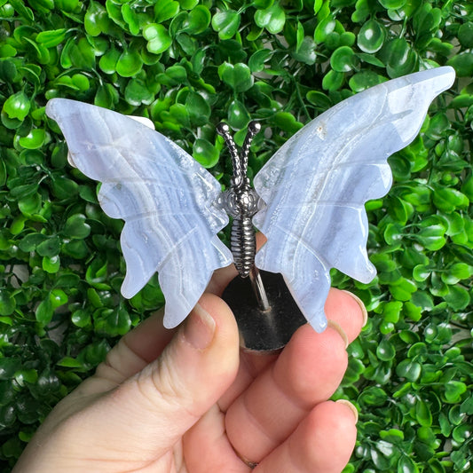 Blue Flower Agate Wings