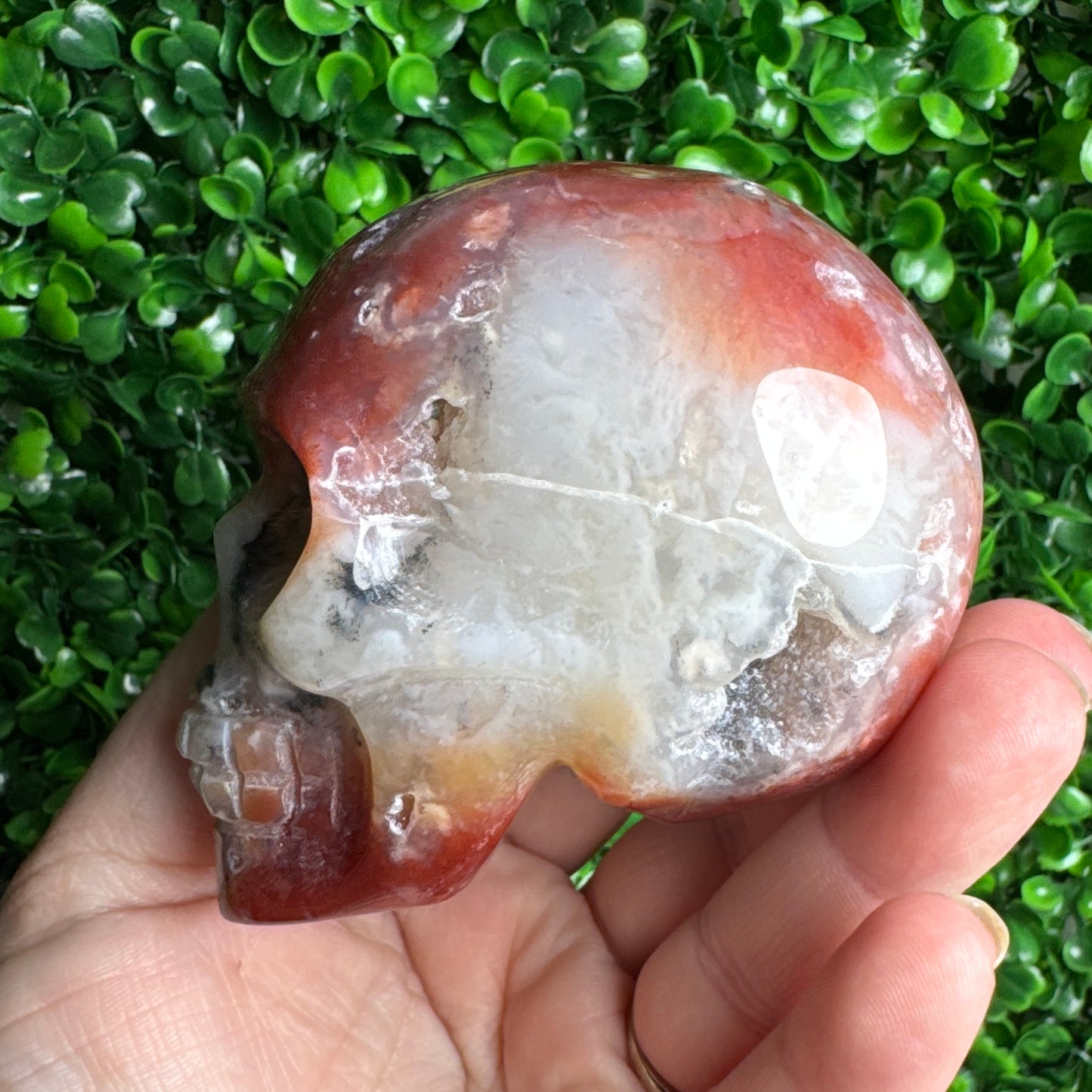 Druzy pink Sea Jasper Skull Carving