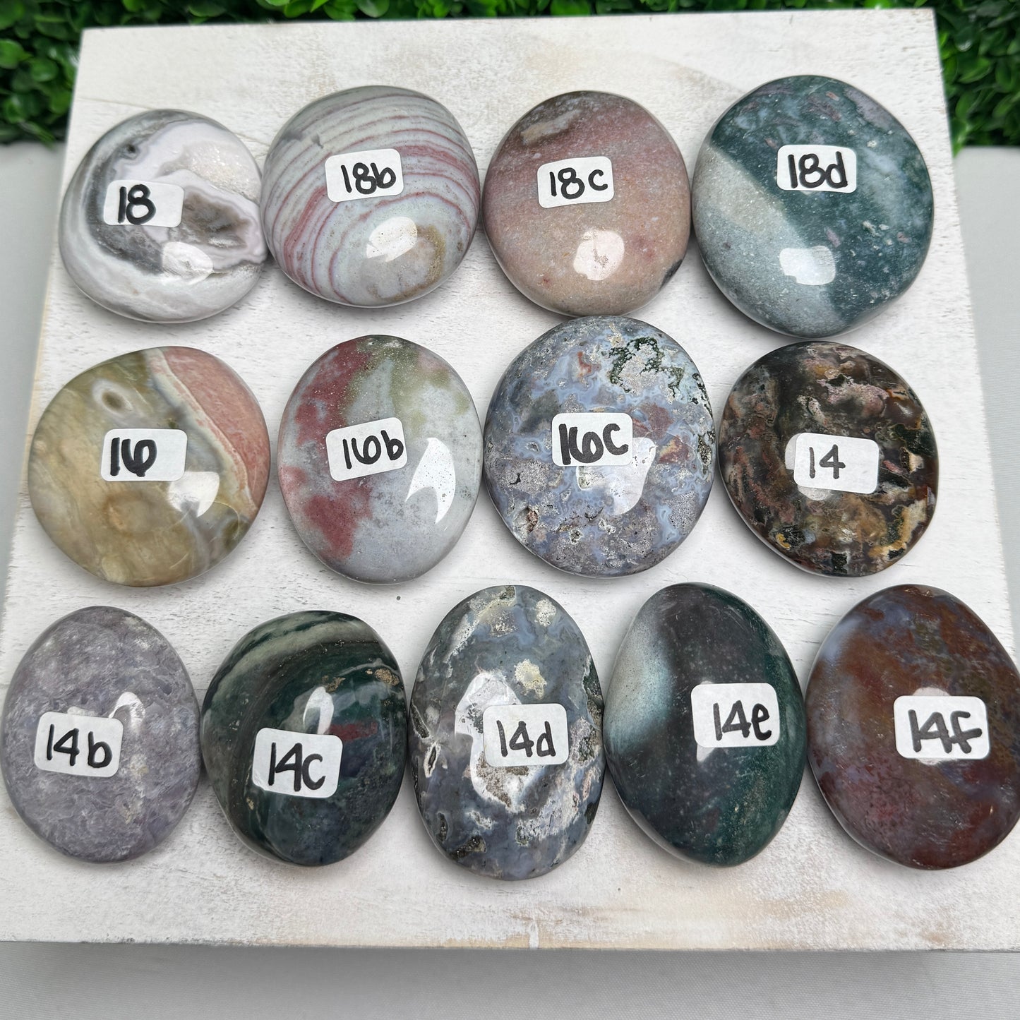 Sea Jasper Palm stones