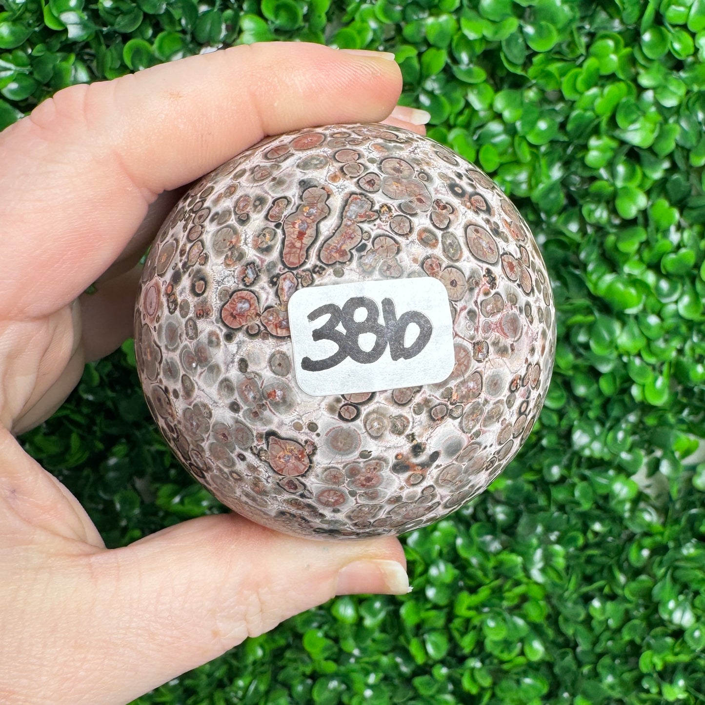 Leopard Skin Jasper Spheres