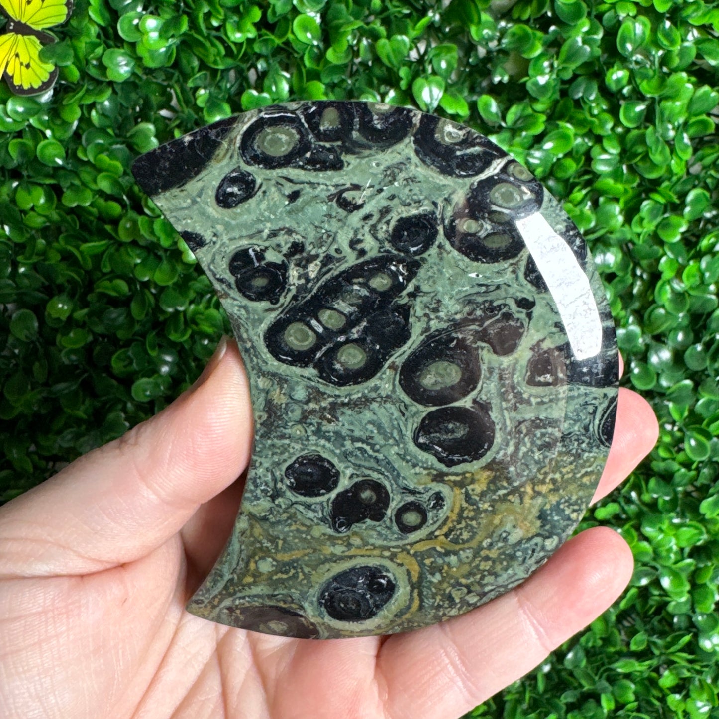 Kambaba Jasper Moon Carvings