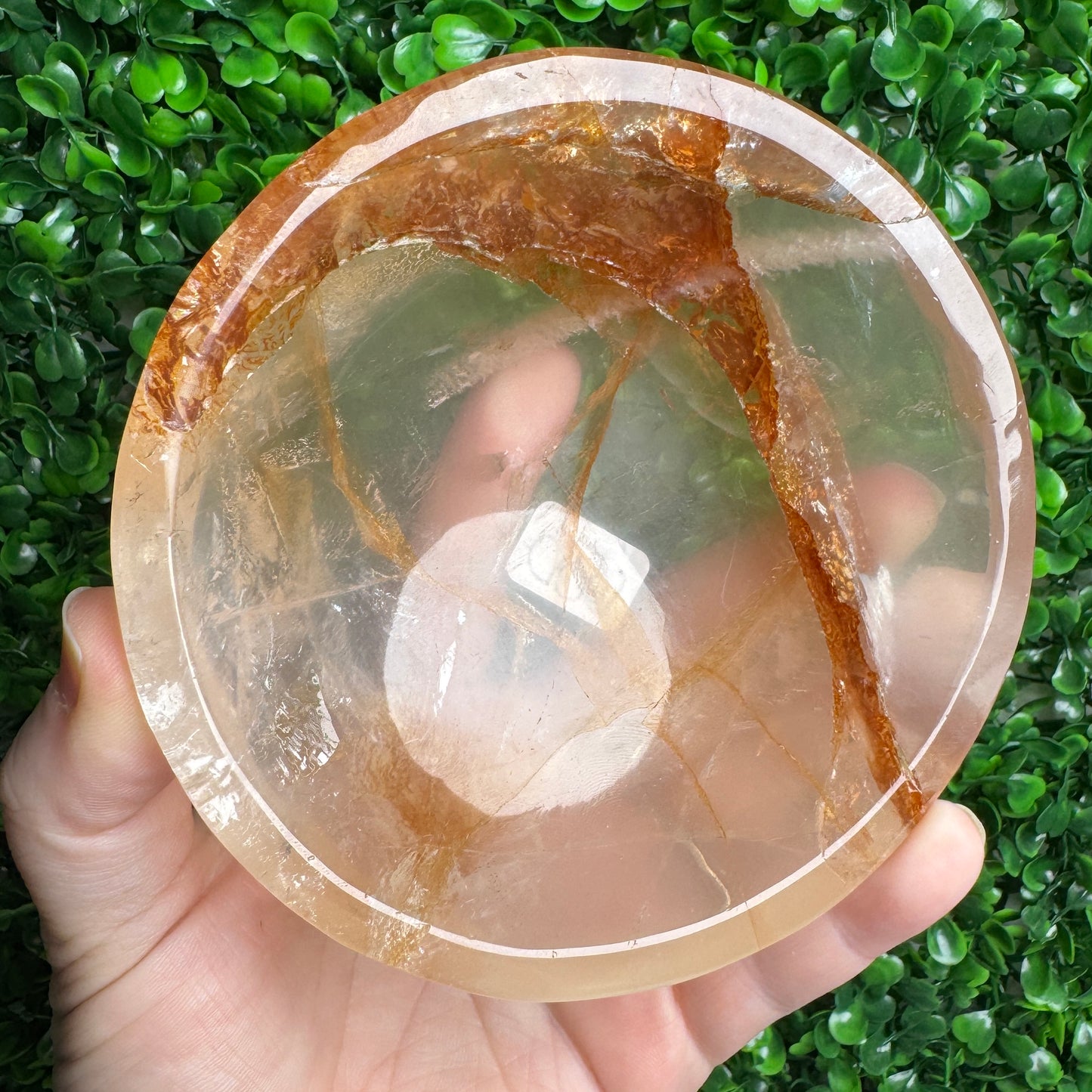Golden Healer Bowls