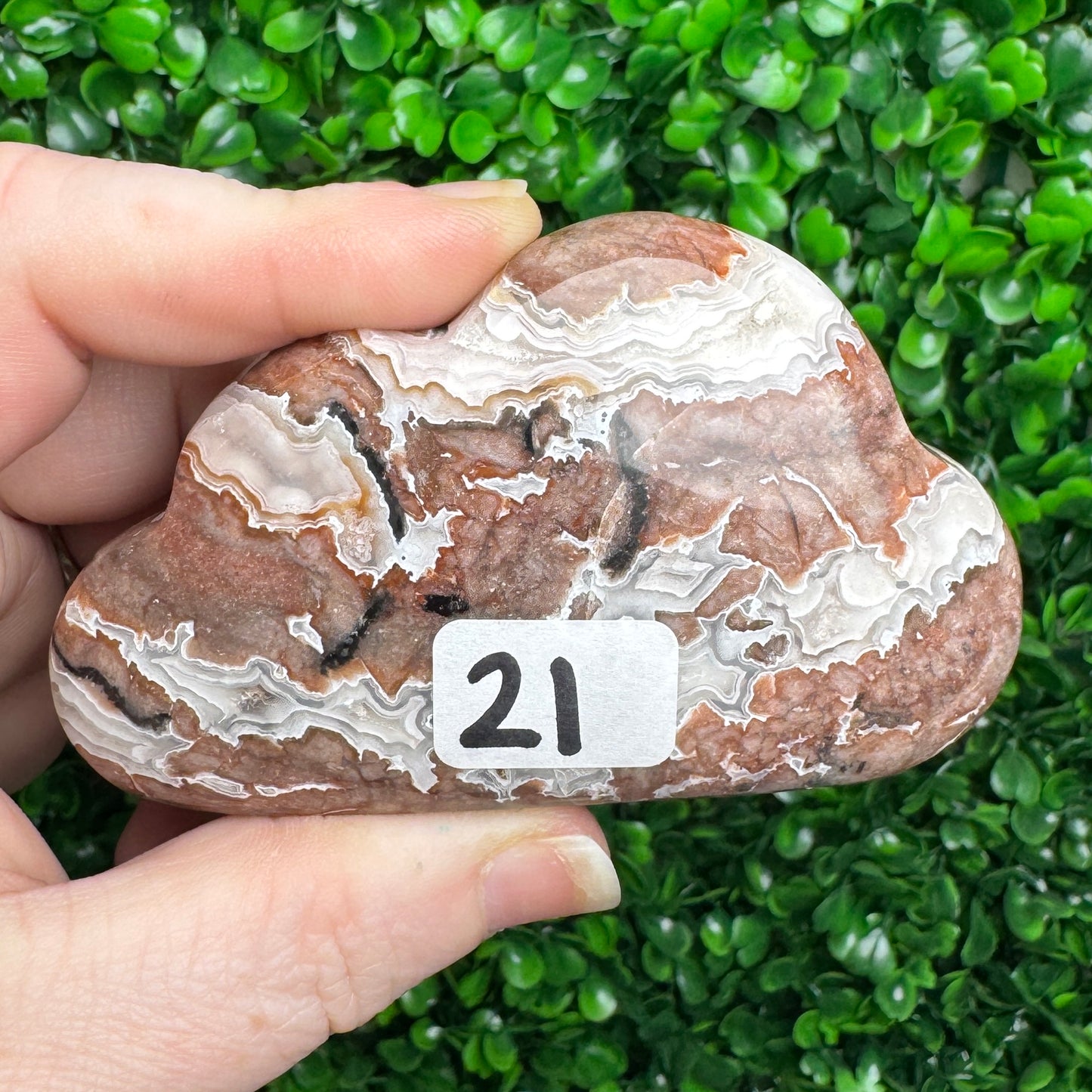 Sangria Lace Cloud Carving