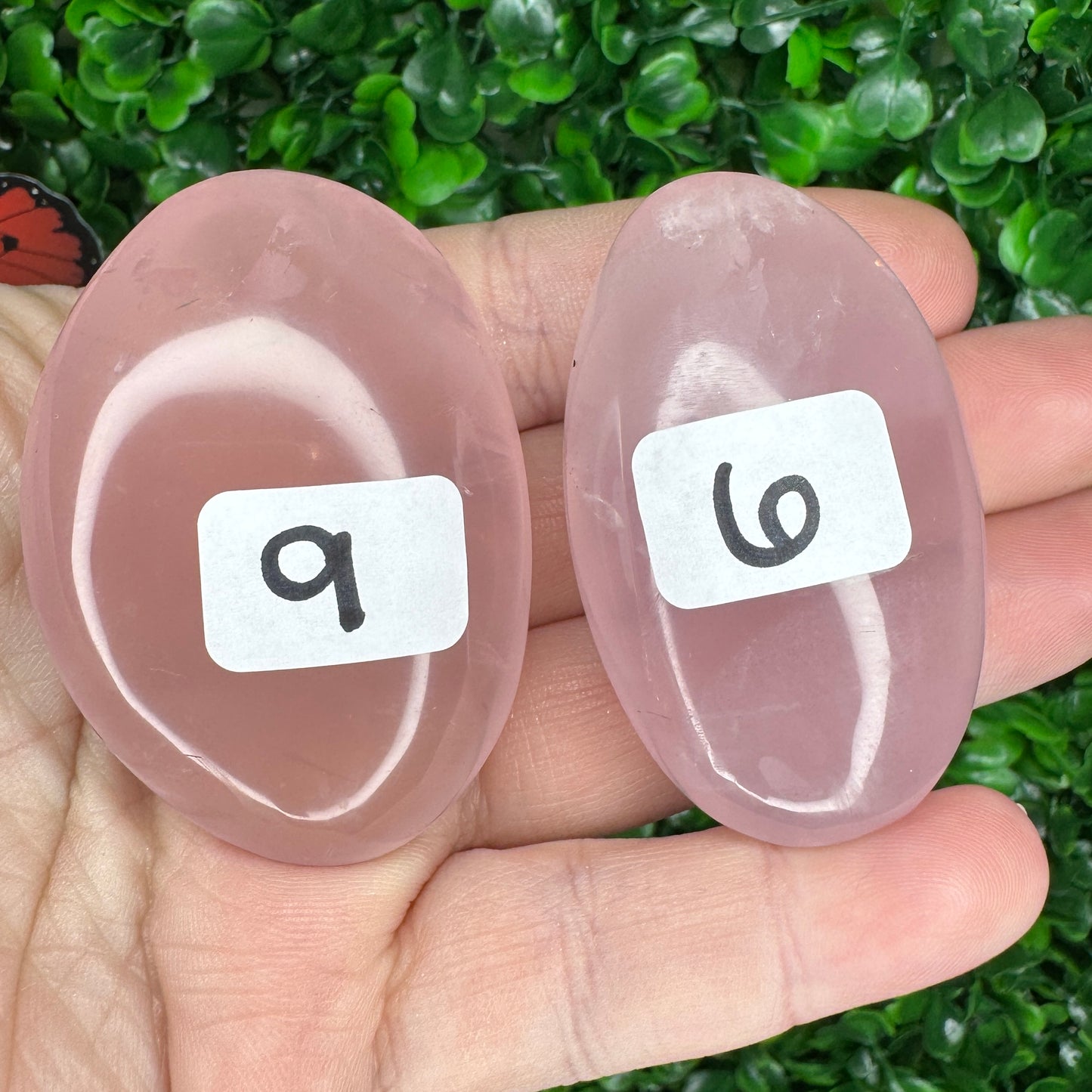 Star Rose Quartz Palm Stones