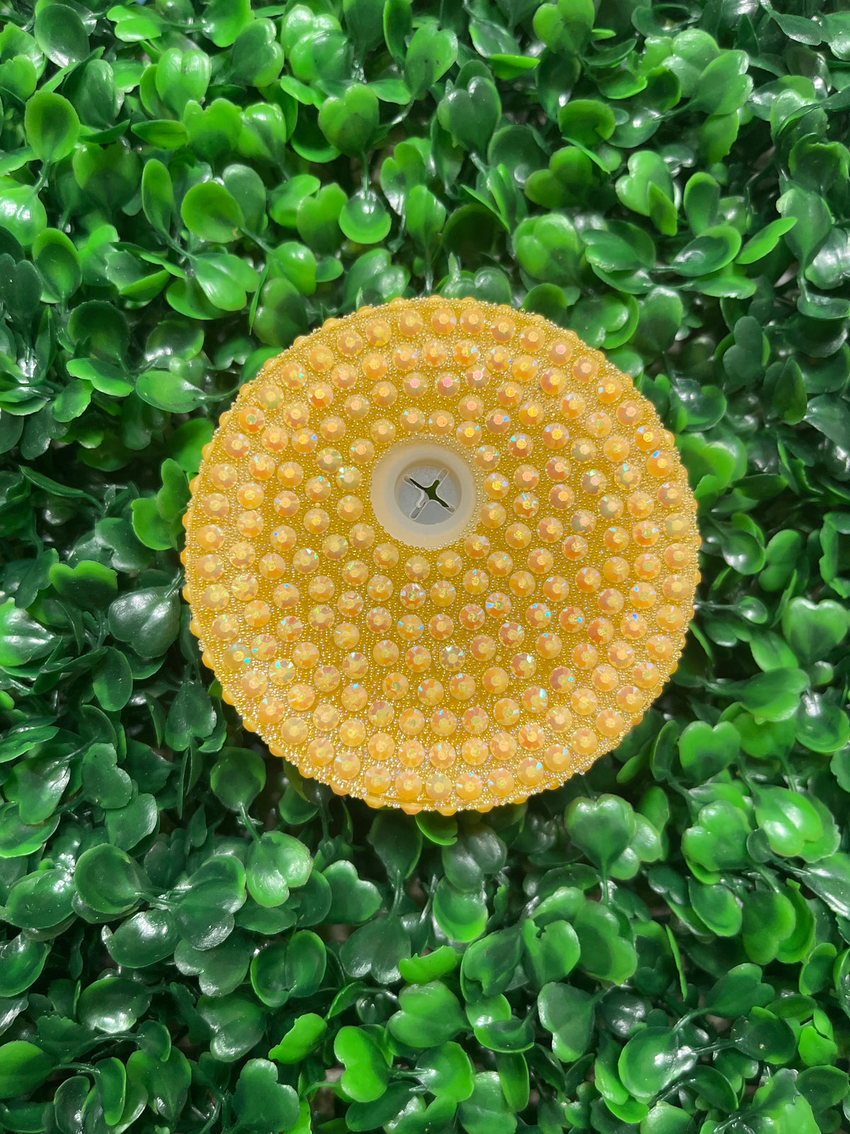 Rhinestone Lids