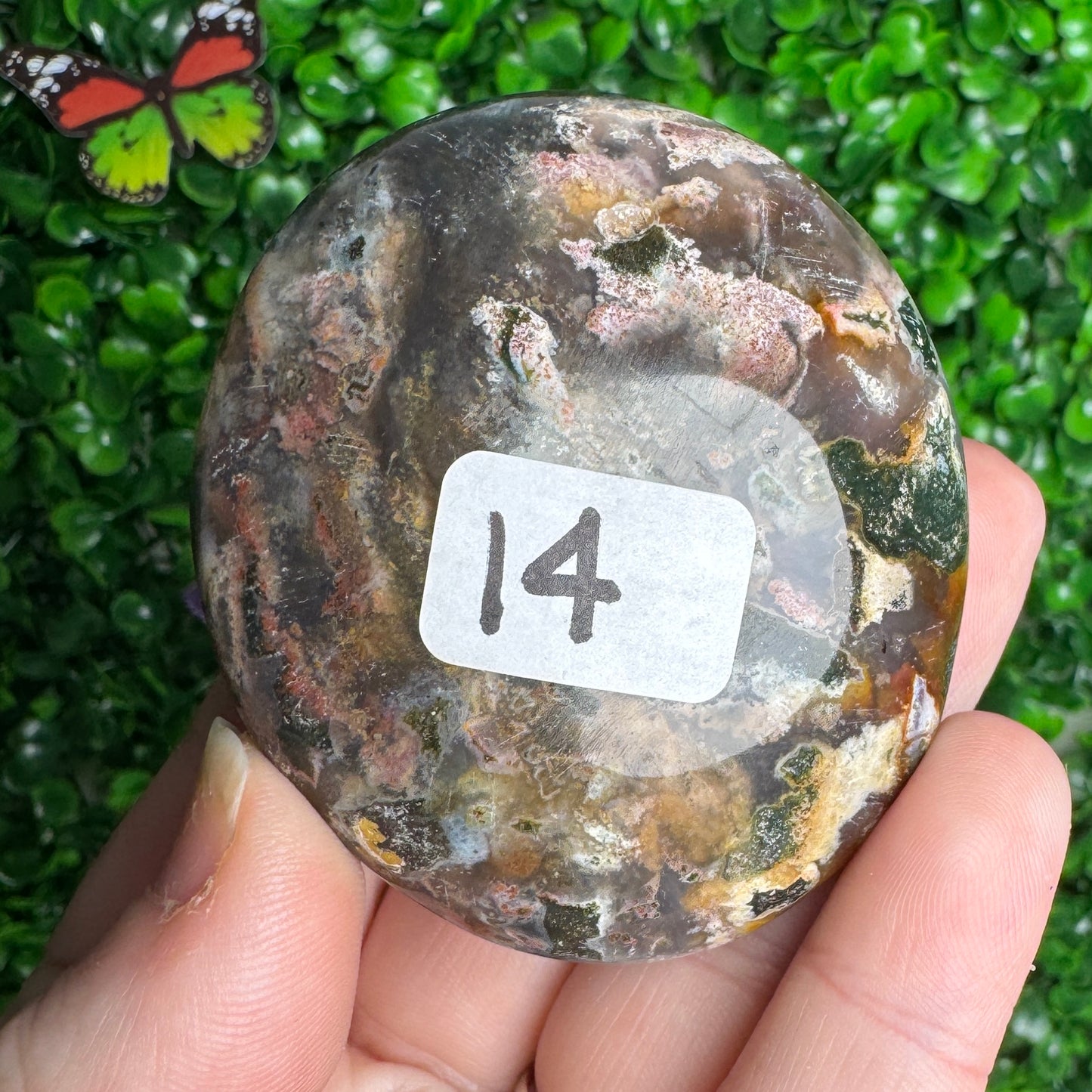 Sea Jasper Palm stones