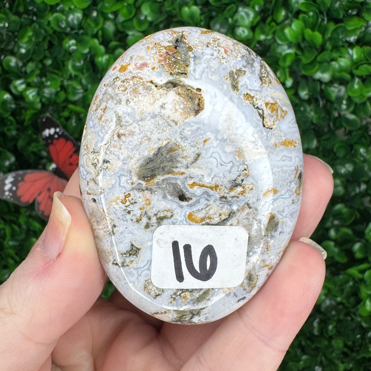 Sea Jasper Palm Stones