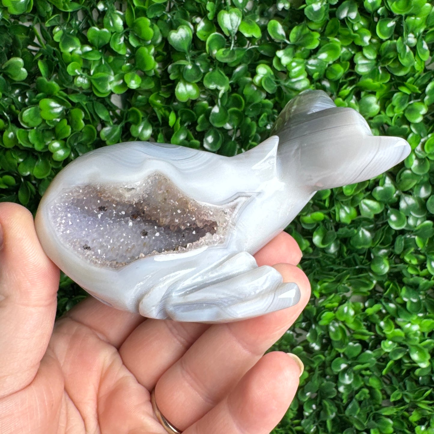 Druzy agate Whale Carving