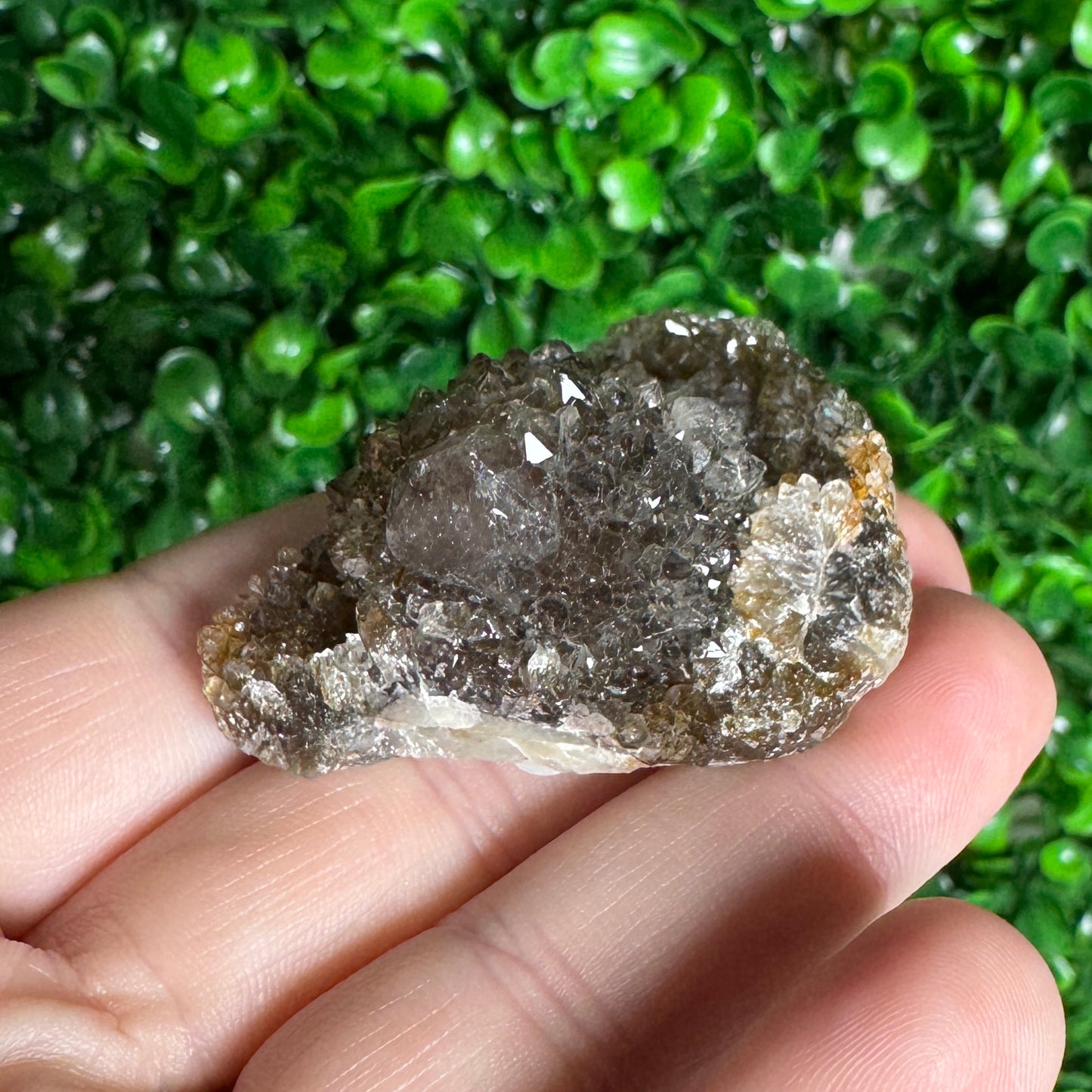 Black Spirit Quartz